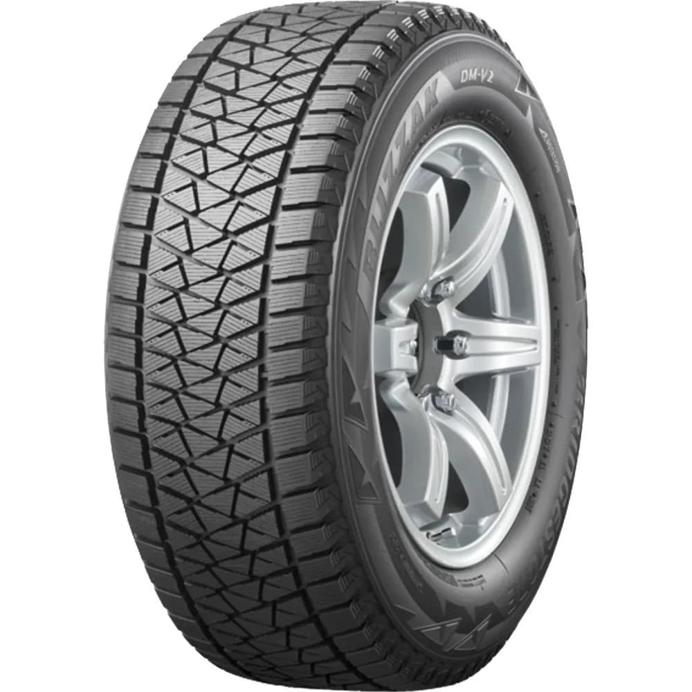Bridgestone BLIZZAK DM-V2