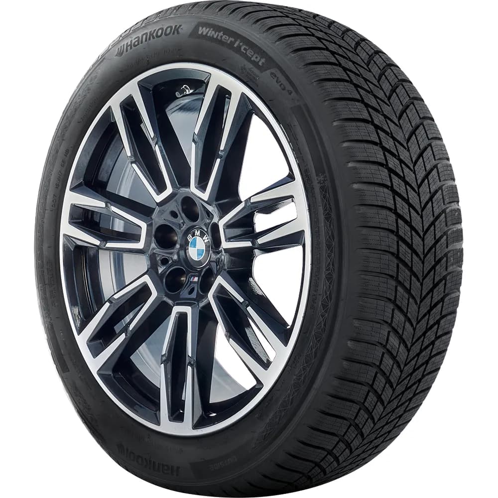 Hankook WINTER I*CEPT EVO4 (W340)