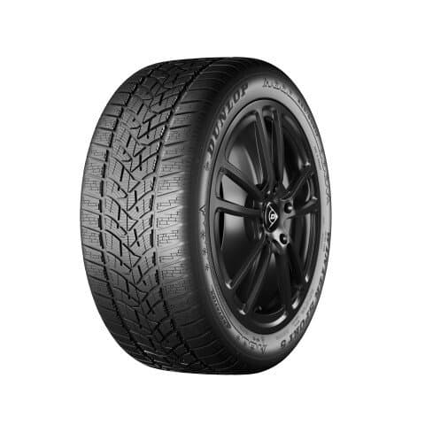 DUNLOP WINTER SPORT 5